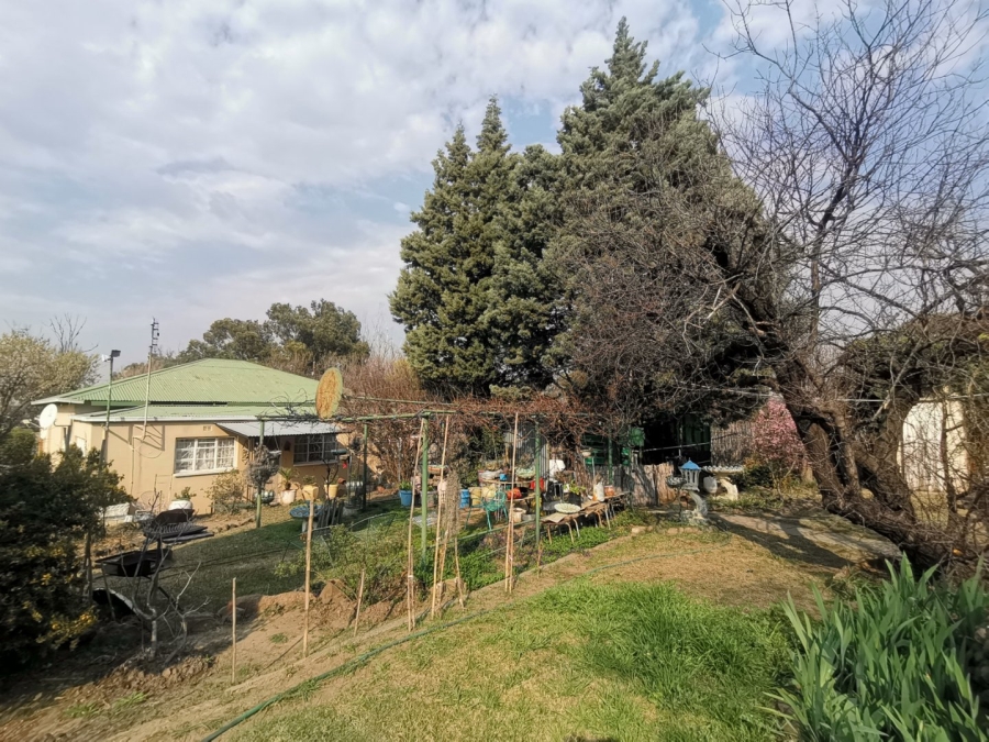 3 Bedroom Property for Sale in Senekal Free State
